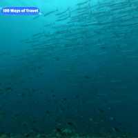 Celebrating Malaysia's National Day: A Journey Through the Pristine Waters of Sipadan