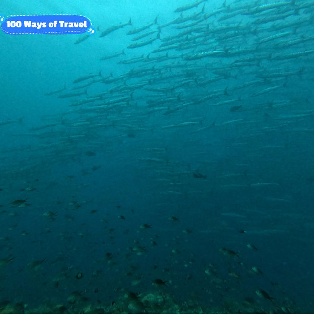 Celebrating Malaysia's National Day: A Journey Through the Pristine Waters of Sipadan