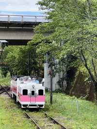 🇯🇵 北九州高千穗 一日自駕遊攻略 🌳大自然之旅⛰️