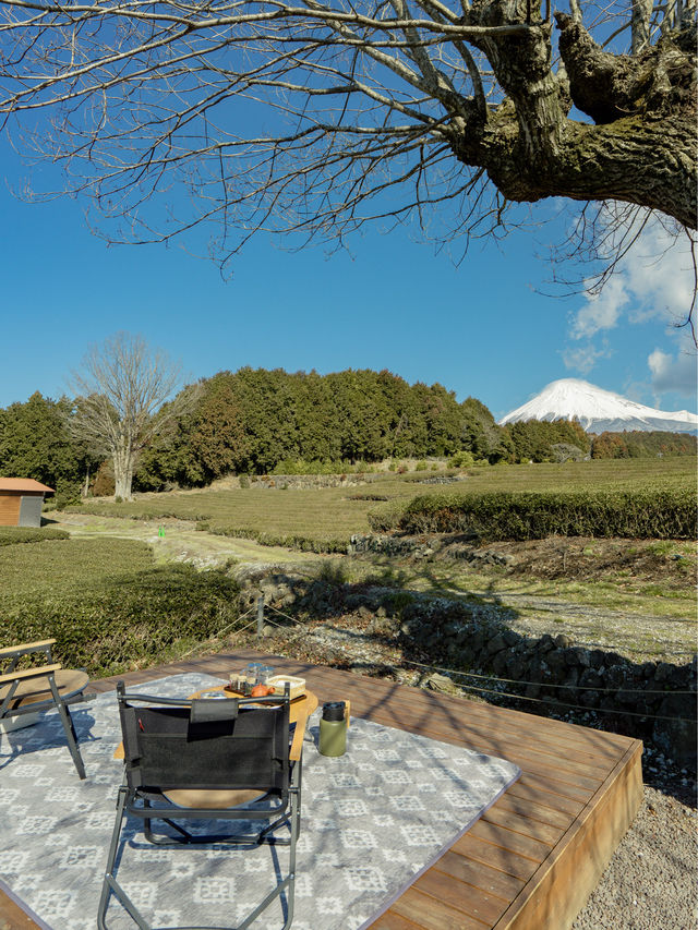 📍富士山の茶の間 -大淵笹場-
