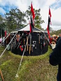 🇦🇺Abbey Medieval Festival in Queensland, Australia 