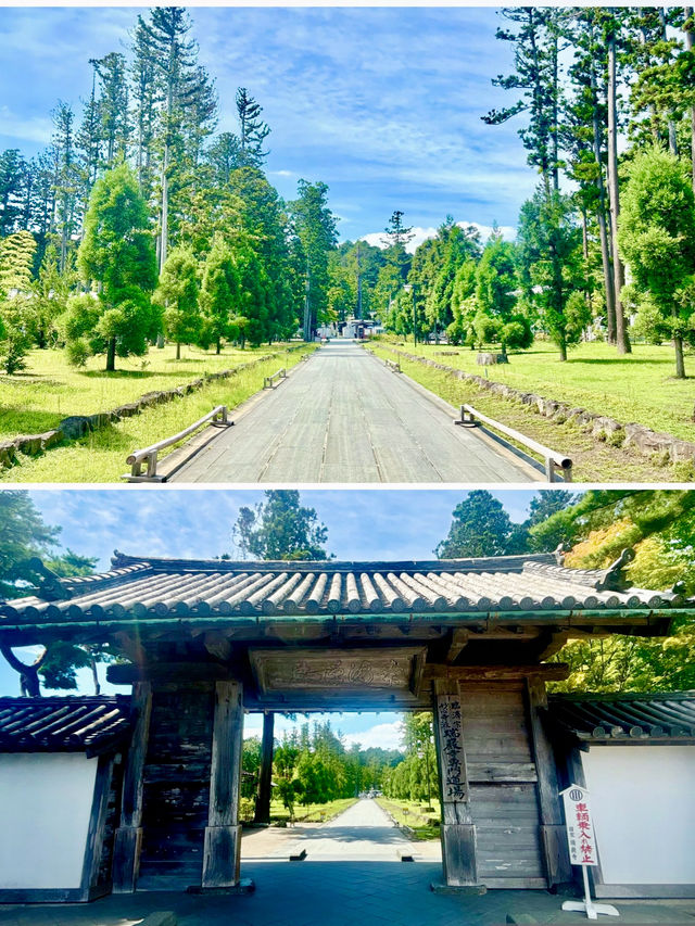 【日本東北】松島瑞嚴寺：莊嚴肅穆的三十三尊觀音像