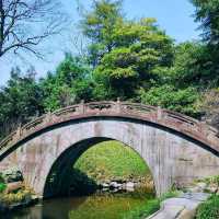 【東京】傳統日式庭園，建議春秋兩季訪問，因為這時候的景色最為壯麗。
