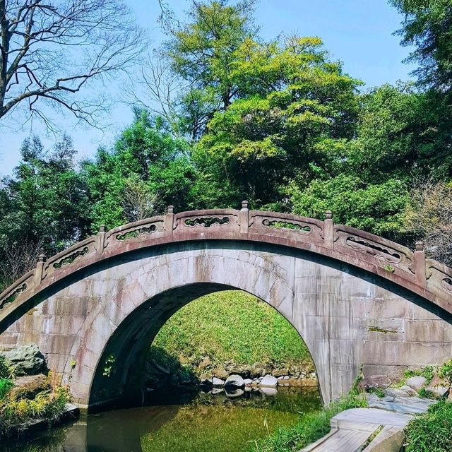 【東京】傳統日式庭園，建議春秋兩季訪問，因為這時候的景色最為壯麗。