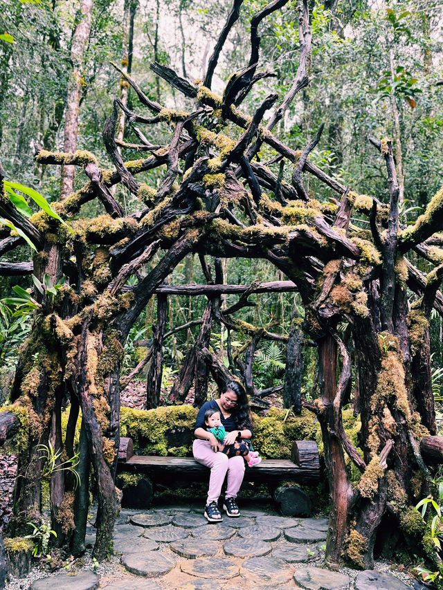 A Walk To Remember: Breathtaking Kinabalu