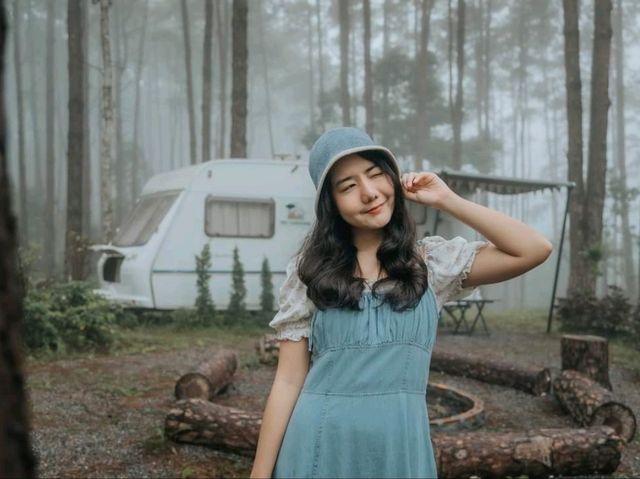 สวนป่า ดอยบ่อหลวง