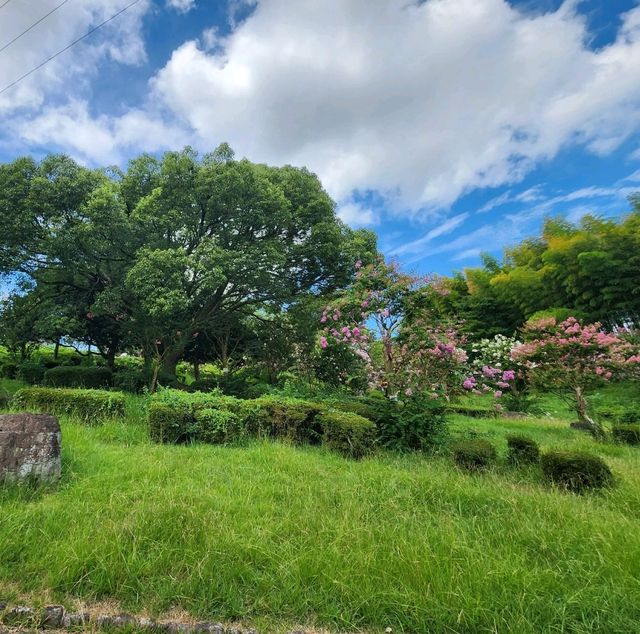 【大阪観光】雨上がりの山田池公園で夏散歩！