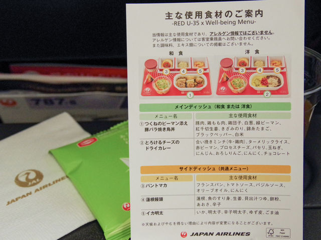 【JL】成田→サンフランシスコ エコノミークラス✈️