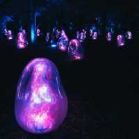 ไปดู Digiata Art สุดเท่ที่ teamLab Osaka กัน