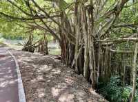 Hat Yai City Park