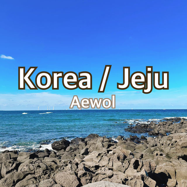 【韓国/済州島】海沿いのオススメ散歩道🚶
