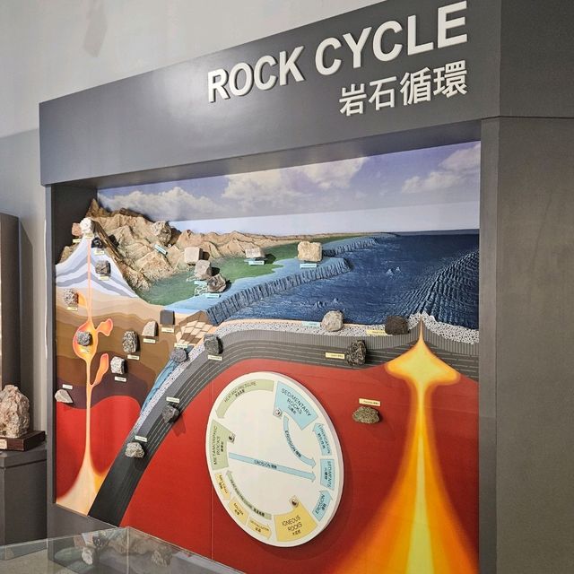 令人大開眼界的石頭和化石標本