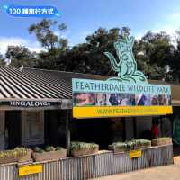 澳洲雪梨-野生動物園與無尾熊合照：Featherdale野生動物園