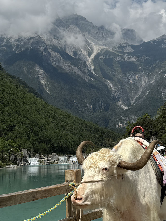 It’s not Switzerland, It’s Lijiang! 🏔️🇨🇳