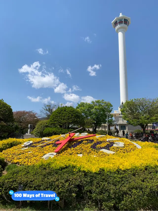 Morning Bliss at Yongdusan Park: Discovering Busan's Serene Oasis and Cultural Charm