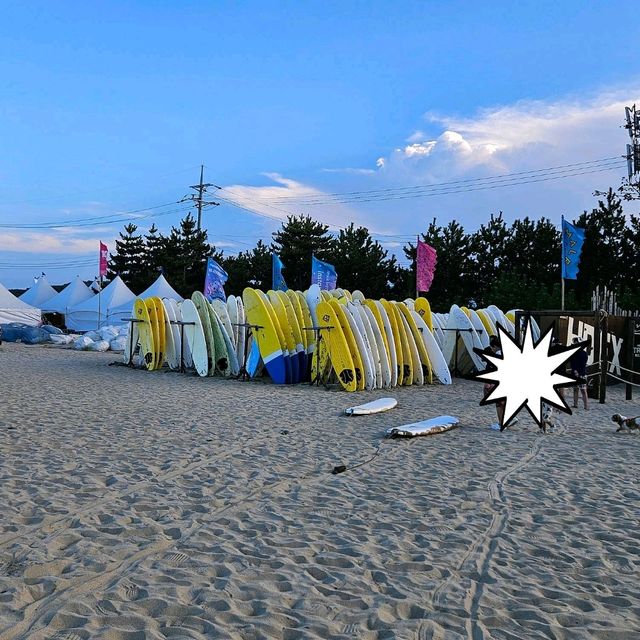 강원도 양양 가볼 만한 곳  서피비치⛱️