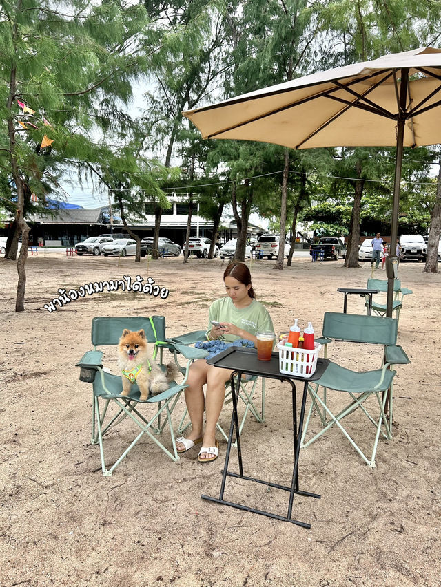 🐶พาน้องหมามานั่งชิลริมเลหาดแหลมเจริญกัน