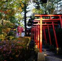 🍁 金澤兼六園:打卡紅葉仙境,感受江戶風情