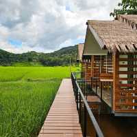 ที่พักที่ใกล้ชิดกับทุ่งนา กลางหมู่บ้านสะปัน น่าน