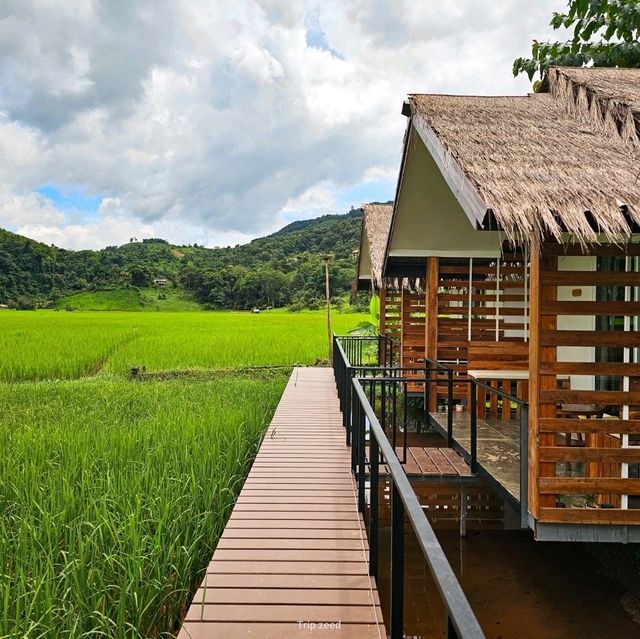 ที่พักที่ใกล้ชิดกับทุ่งนา กลางหมู่บ้านสะปัน น่าน