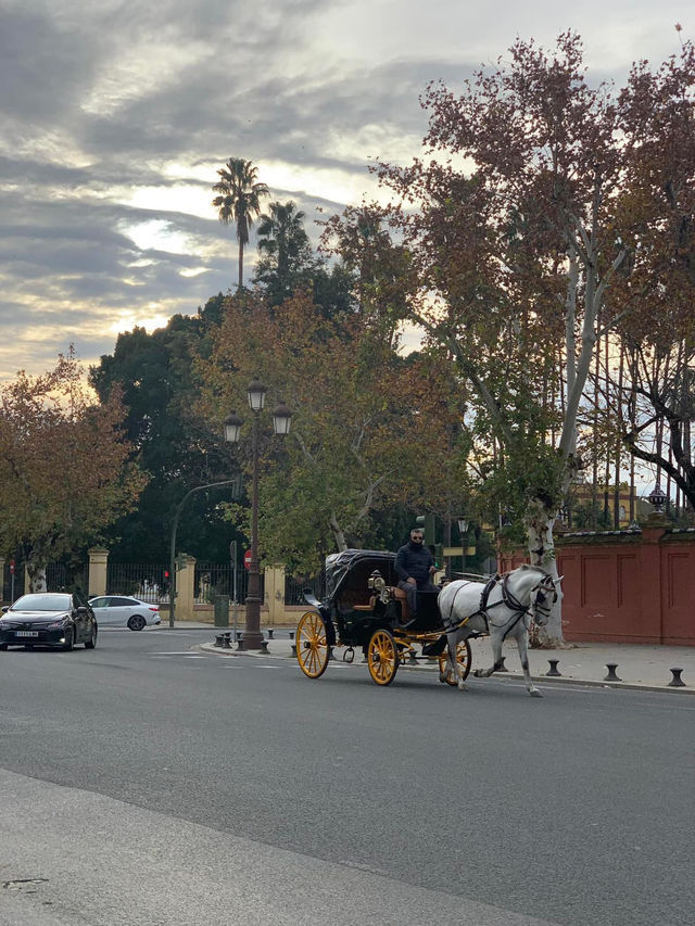 💚Amazing Walking Tour💜You must join-It is FREE🥰