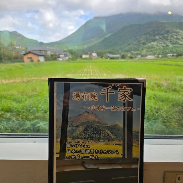 CAFE除左打卡 味道同環境都好重要 我搵到啦🥰