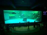 อควาเรียมบางแสน: อควาเรียมที่ไม่ควรพลาด 🐠