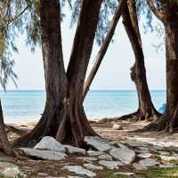 "Nature's Retreat: A Review of Pantai Cahaya Negeri"