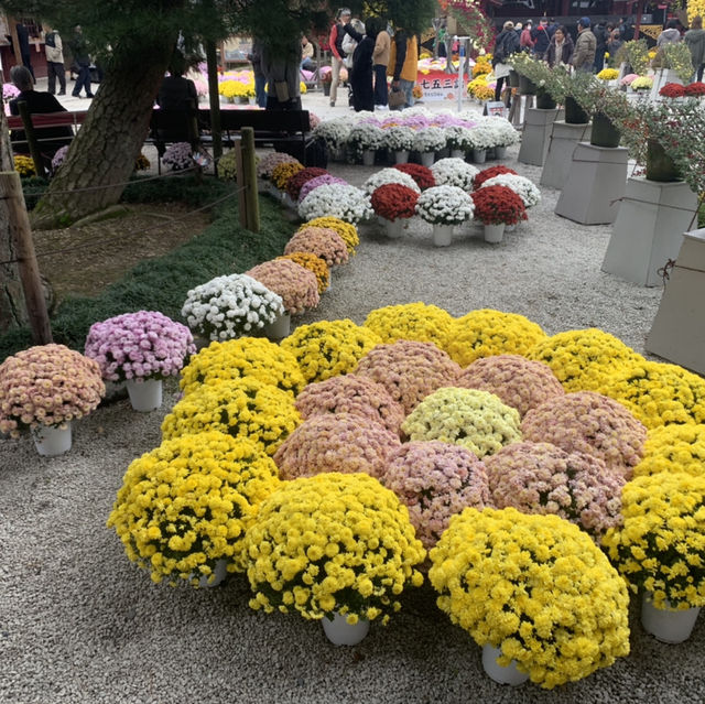 笠間稲荷神社！！