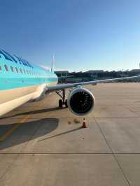 【韓国旅行】大韓航空で行くソウル