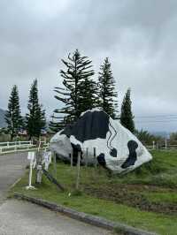 Desa Dairy Farm, Kundasang