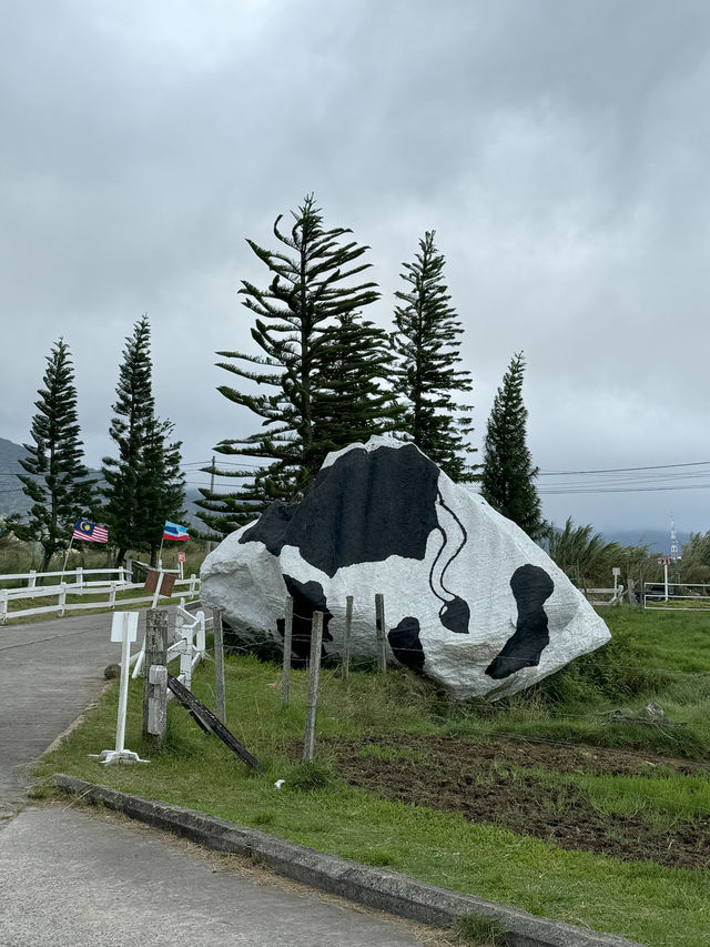 Desa Dairy Farm, Kundasang