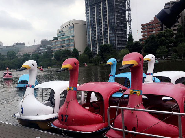 ［東京］上野恩賜公園遊歷與天鵝船體驗