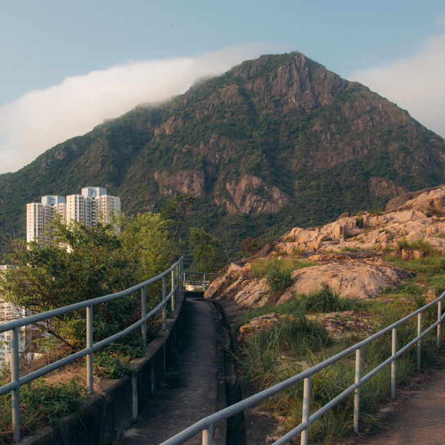 九龍平山 輕鬆郊遊好去處 俯視九龍和獅子山 
