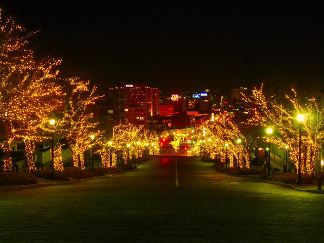 【函館】夜景や異国情緒感じる街並みを楽しむ