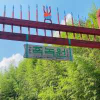 [담양] 대나무 소리가 시원한 죽녹원 여행🎋