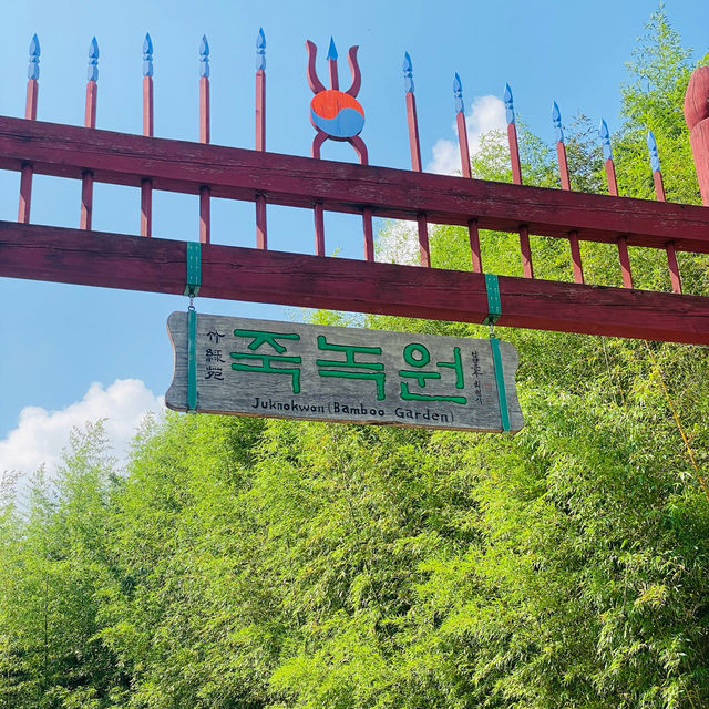 [담양] 대나무 소리가 시원한 죽녹원 여행🎋