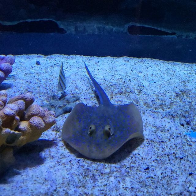 Underwater World Pattaya 