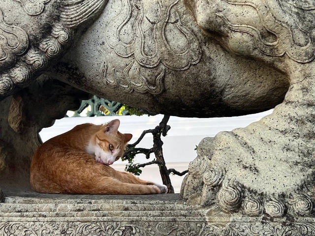 探索曼谷古寺 — 臥佛寺的巨大金臥佛