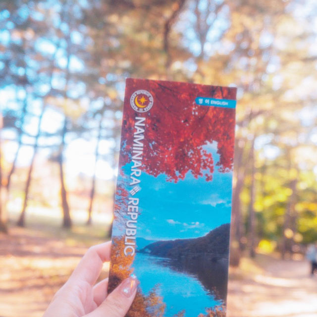 My Island Tour Around Nami Island 🇰🇷
