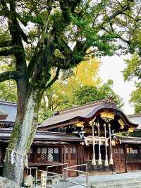 【京都府】猪だらけの境内