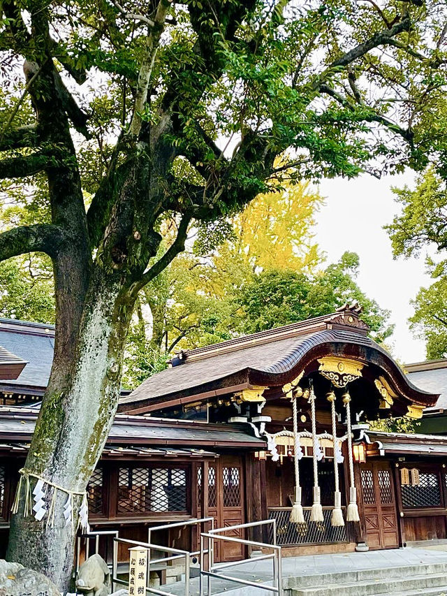 【京都府】猪だらけの境内