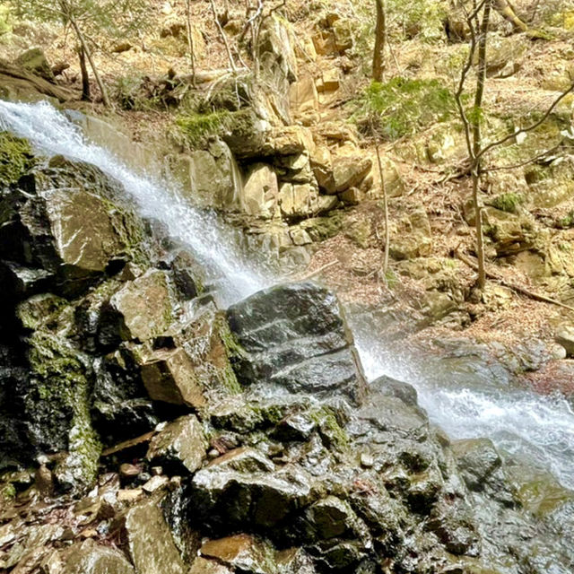 【山梨県】可愛らしい癒しの滝
