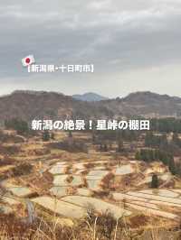 【新潟県･十日町市】絶景棚田スポット！🌾