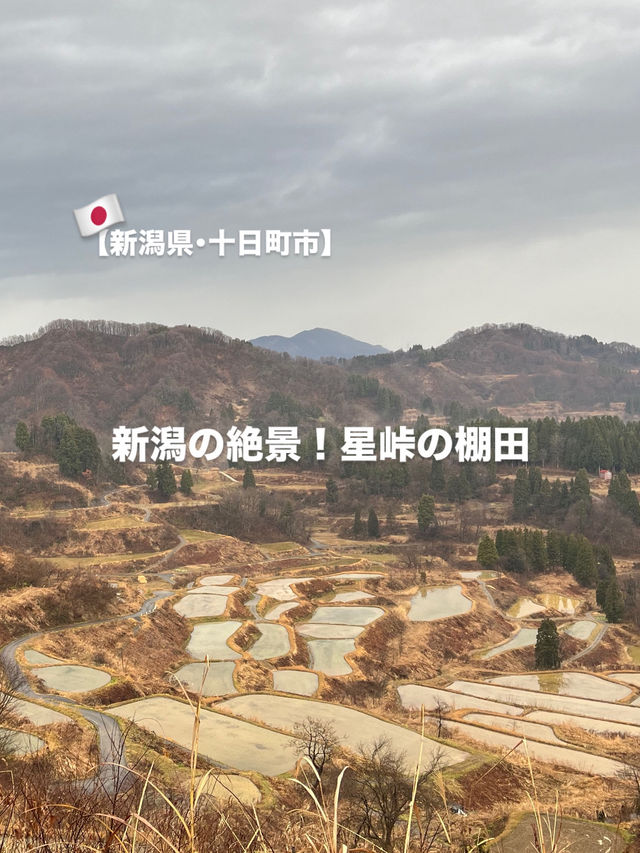 【新潟県･十日町市】絶景棚田スポット！🌾