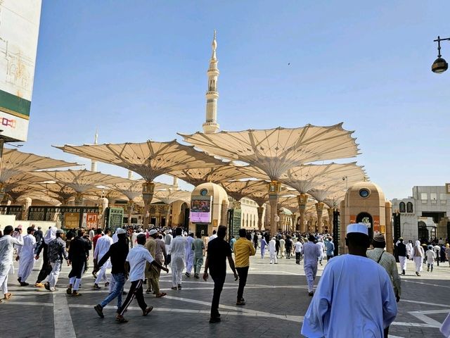 Spiritual Serenity in Madinah Al-Munawwarah