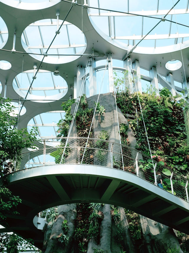 Gardens by the Bay in Shanghai!