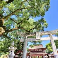 福岡景點｜求學問之神、藝術之道在太宰府天滿宮