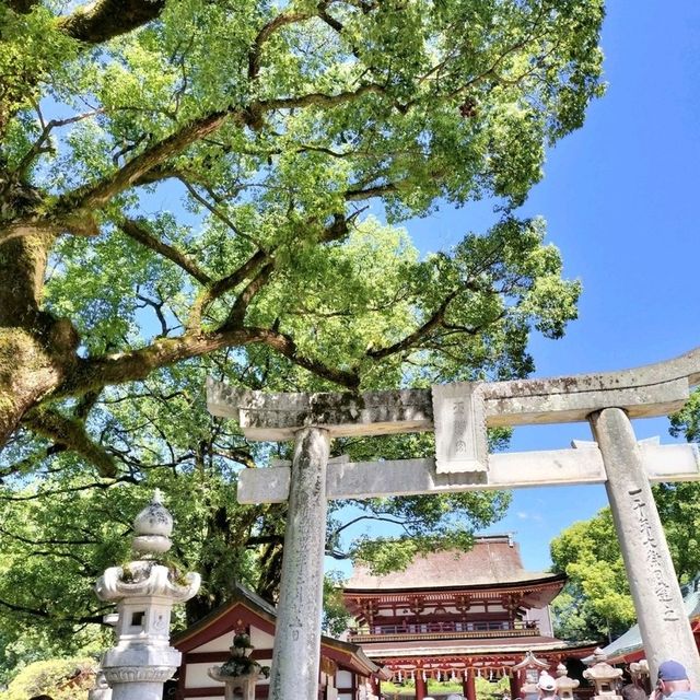 福岡景點｜求學問之神、藝術之道在太宰府天滿宮