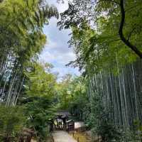 #竹林山松月院：在竹林深處尋找禪意的樂趣！🎍🧘‍♂️